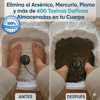 Máquina de desintoxicación iónica para pies